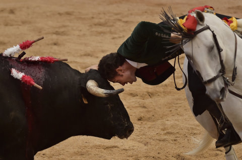 matador.png (1).png