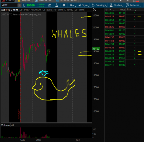 XBT Whales.PNG