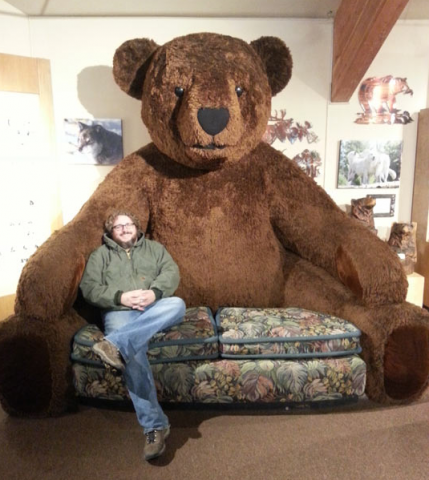 bear couch2.png.png