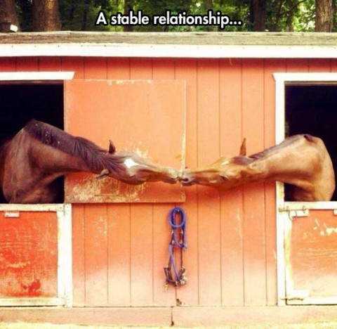 horse kiss.png.png