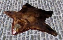 flat bear.jpg