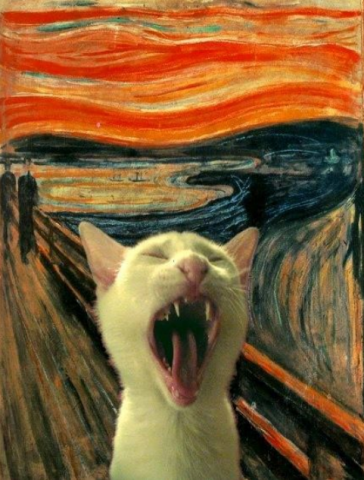 cat scream.png.png