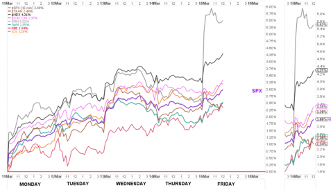 315week glance.png.png