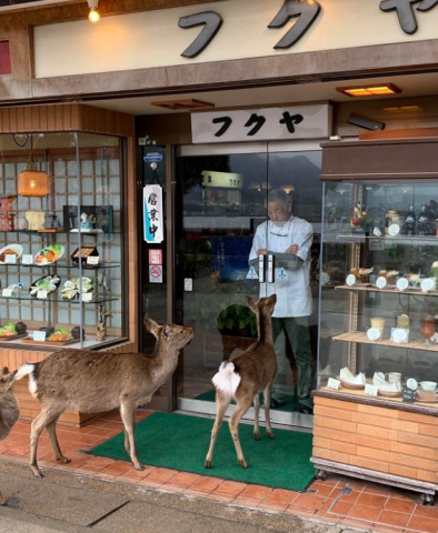 deer at door.png.png