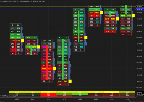 ES 03-20 (6000 Tick Volumetric) 2020_02_14 (8_30_59 AM).png