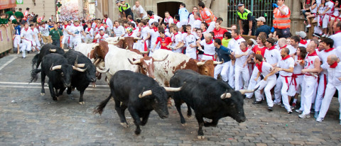 bulls running.jpg