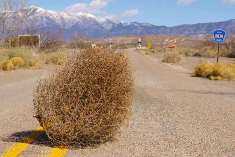 cdn.forumcomm.jpg