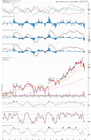 SCSS Daily