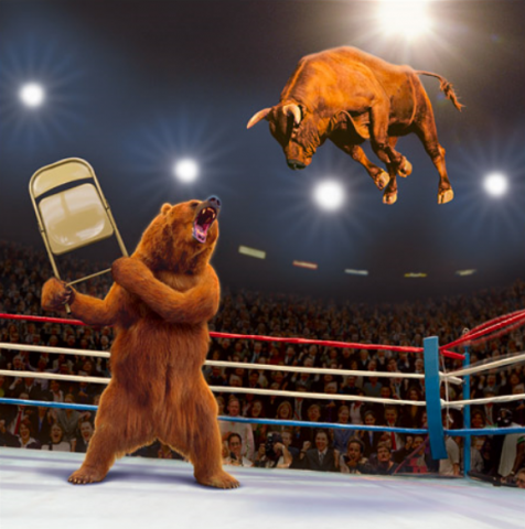 2010-08-15_bullbear.png