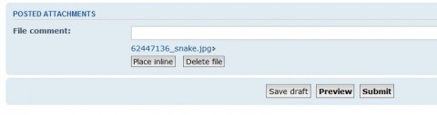inline.JPG