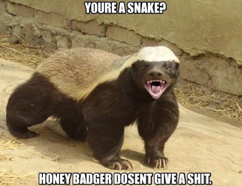 snake.png