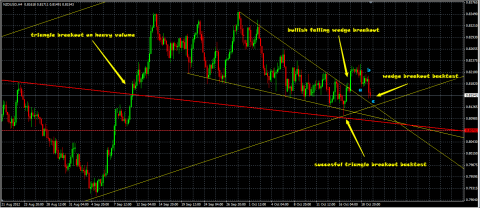 NZD3.png