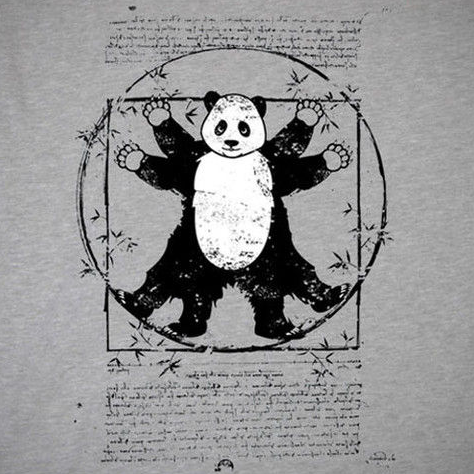 leonardo de panda.png