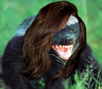 honey girl.png
