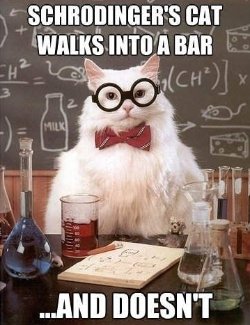 schrodingers cat.png