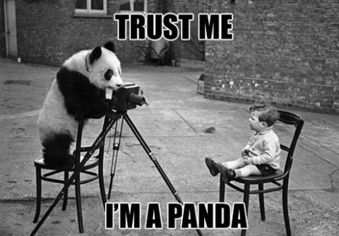 trust panda.png