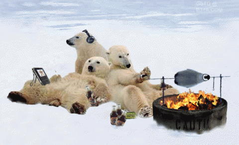 PolarBearsCooking.gif