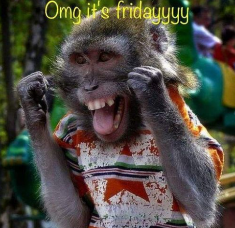 friday.png