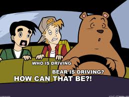 bear driver.jpg