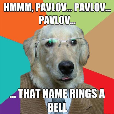 pavlov uempel.png