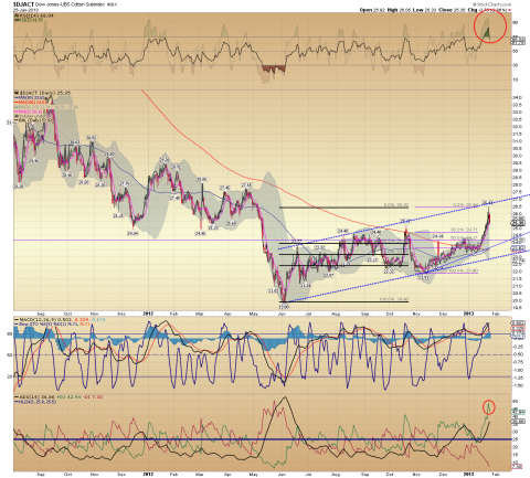 Dow Jones UBS Cotton SubIndex Daily