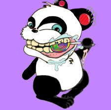 evilpanda.jpeg