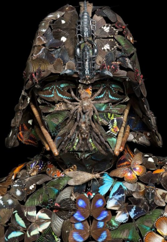 buttefly vader_png.png