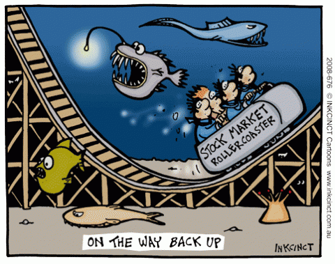 2008-676--stock-market-deep-sea-roller-coaster.gif