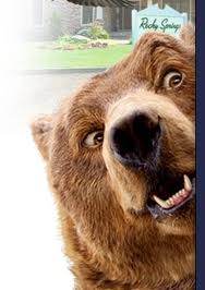 BearSurprised.jpg