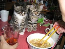 wanttoeat1.jpg