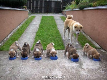 ProudMom1.jpg