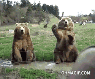 the-waving-bears.gif