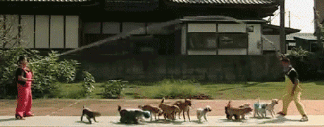 jump0.gif