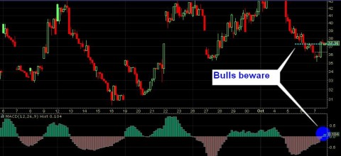 Vix 2.JPG