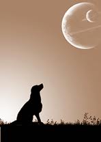 fullmoon.jpg