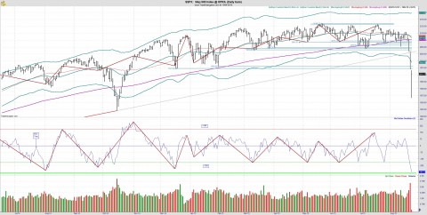 NYMO 082415.jpg