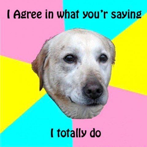 dogagree.jpg