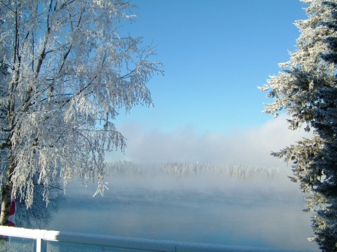 across the lake with frost on trees.jpg