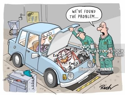animals-mot-engine_problem-car_engine-garage-shop-rskn31_low.jpg