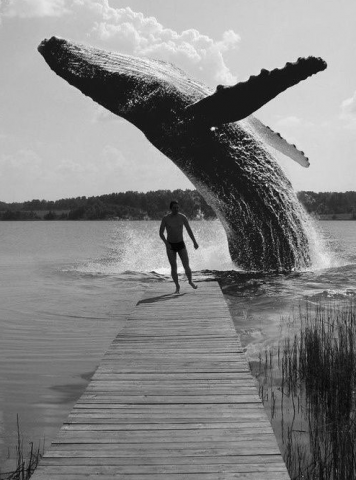 whale at pier.png.png