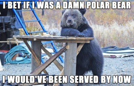 Poor+bear_c3f94d_4754186.jpg