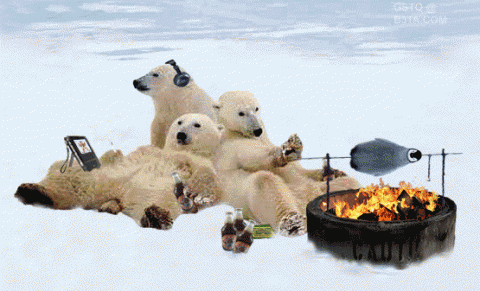 BearParty.gif