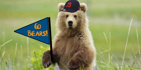 Go-Bears-Bear.jpg