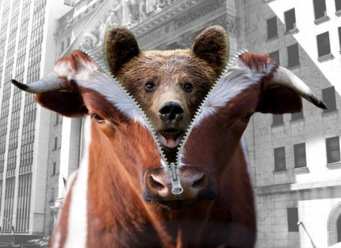 BEARUNZIP.jpg