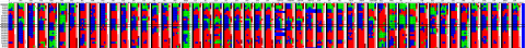 Untitled.png
