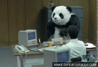 pandabear_freaks out.gif