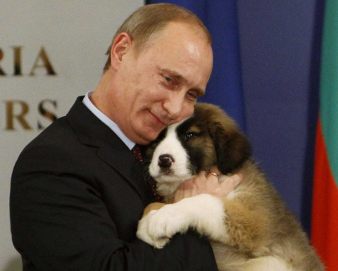 putin loves puppies.png