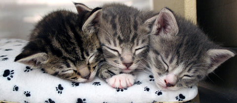 zzz