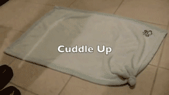 cuddle0.gif