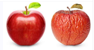 apple.PNG